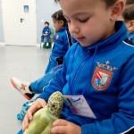 Excursión de Infantil y Educación Especial al Acuario de Sevilla